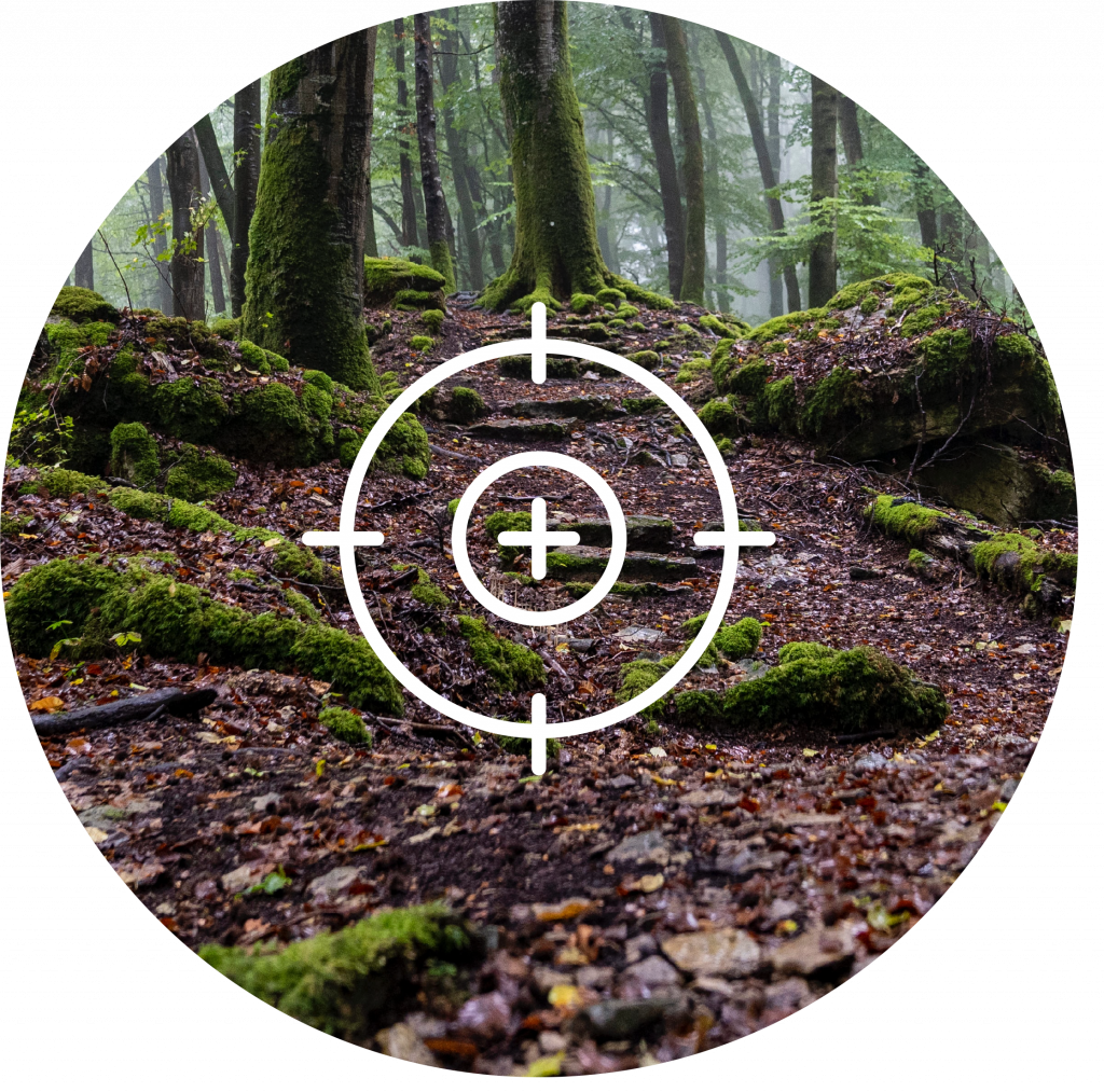objetivos-forest-4f
